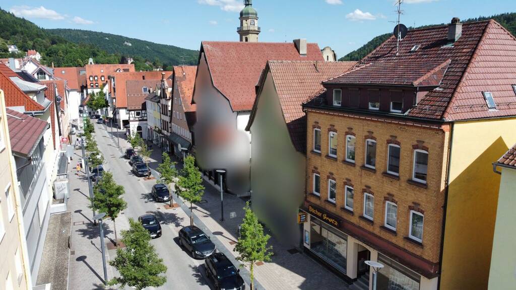 Mehrfamilienhaus zum Kauf 750.000 € 14 Zimmer 355 m² 436 m² Grundstück Ebingen Albstadt 72458