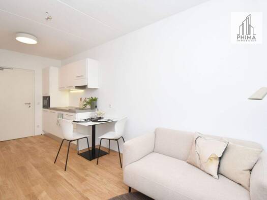 Wohnung zur Miete 847 € 2 Zimmer 25,7 m² Rheinstraße 93 Hard 6971