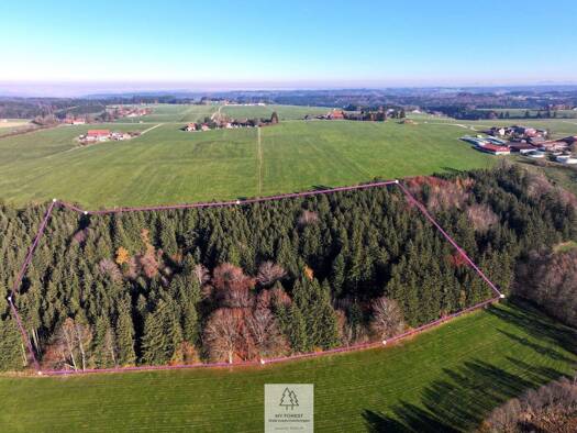 Forstwirtschaft zum Kauf 84.900 € 22.695 m² Grundstück Völken Eggenthal 87653