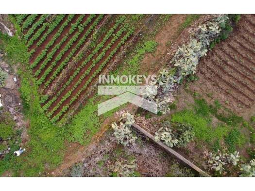 Acker-/Waldstück zum Kauf 69.000 € La Matanza de Acentejo 38370