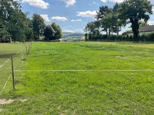 Grundstück zum Kauf 60.000 € 800 m² Grundstück frei ab sofort Münchehof Seesen 38723