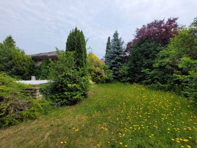 Bungalow zum Kauf 1.200.000 € 4 Zimmer 121,8 m² 899 m² Grundstück frei ab sofort Dreieich 63303
