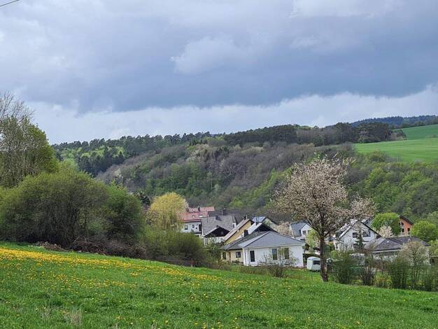 Einfamilienhaus zum Kauf 399.000 € 5,5 Zimmer 191 m² 809 m² Grundstück Bermel 56729