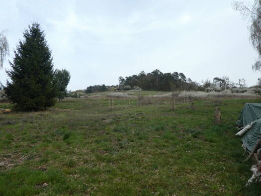 Grundstück zum Kauf 195.000 € 725 m² Grundstück Adolfseck Bad Schwalbach 65307