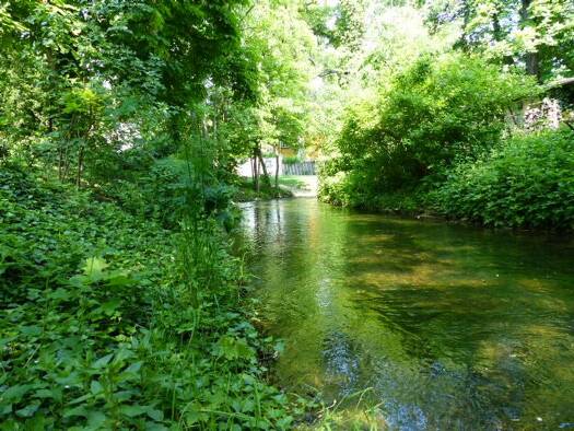 Wohnung zur Miete 1.500 € 2 Zimmer 100 m² Geschoss 3/4 frei ab 01.04.2026 Moritzstrasse 22a Altstadt Erfurt 99084