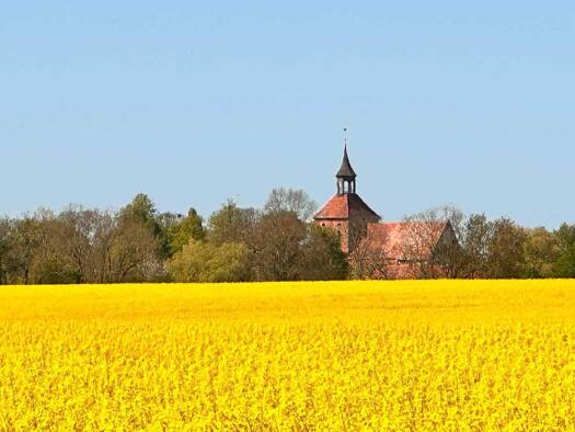 Land-/Forstwirtschaft zum Kauf 150.000 € 2.660 m² 12.986 m² Grundstück Schorrentin 27 A Schorrentin Neukalen 17154