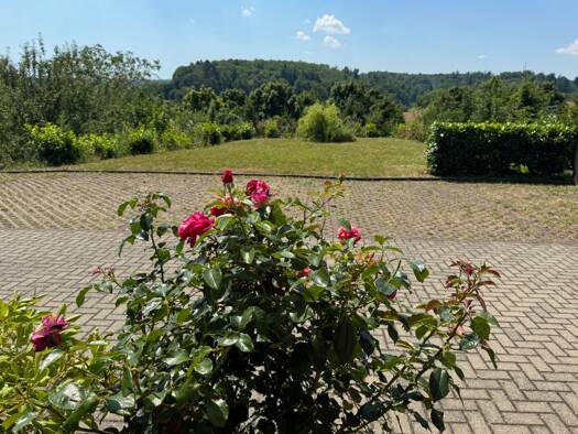 Wohnung zur Miete 1.200 € 2,5 Zimmer 80 m² frei ab sofort Im Steinig Wembach-Hahn Ober-Ramstadt 64372