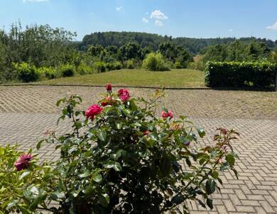Wohnung zur Miete 1.200 € 2,5 Zimmer 80 m² frei ab sofort Im Steinig Wembach-Hahn Ober-Ramstadt 64372