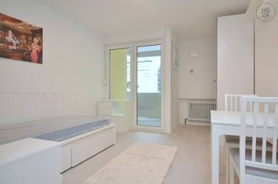 Wohnung zur Miete Wohnen auf Zeit 730 € 1 Zimmer 22 m² frei ab 01.08.2025 Südstadt 50 Fürth 90763