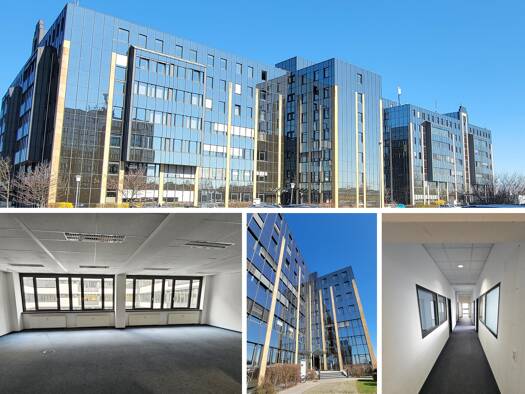 Bürofläche zur Miete 6.498 € 14 Zimmer 618,5 m² Bürofläche Seehausen Nord 04356