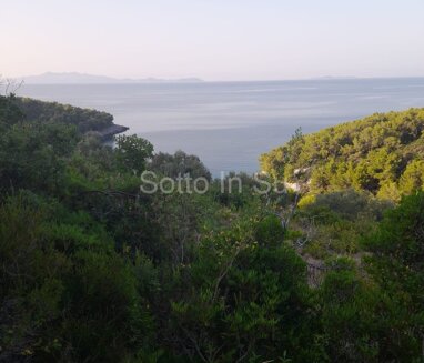 Land-/Forstwirtschaft zum Kauf 500.000 € Korcula Blato center