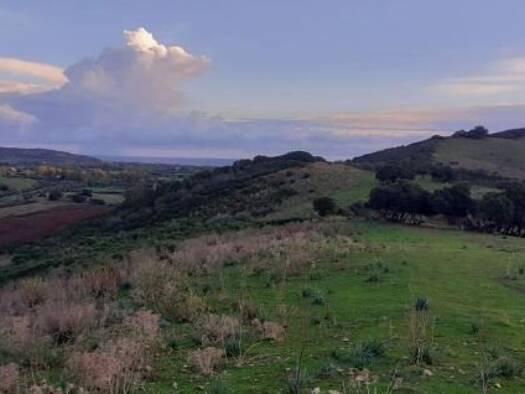 Grundstück zum Kauf 380.000 € 640.000 m² Grundstück Siniscola - Sardinien 08029