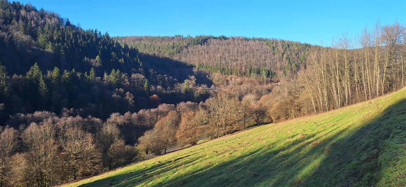 Grundstück zum Kauf 6.000 m²<br/>Grundstück Hirtenweg 0 Friedrichsdorf Eberbach , Baden 69412