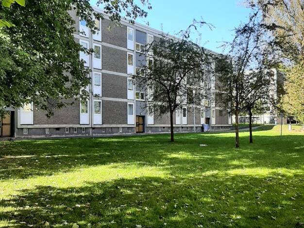 Wohnung zur Miete 481 € 3,5 Zimmer 71 m² 2. Geschoss Achternbergstraße 92 Rotthausen Gelsenkirchen 45884