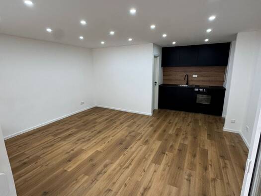 Studio zur Miete 950 € 1 Zimmer 30 m² Geschoss 1/4 frei ab sofort Lorenz Nürnberg 90402