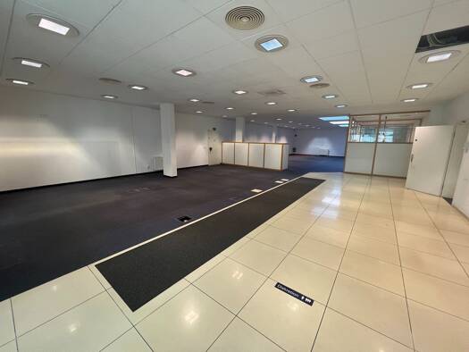 Büro zur Miete provisionsfrei 1.900 € 325 m² Bürofläche Merseburg Merseburg 06217