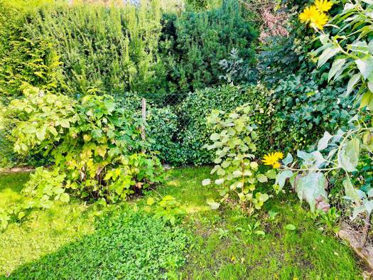 Doppelhaushälfte zur Miete 1.598 € 3,5 Zimmer 85 m² 180 m² Grundstück frei ab 01.05.2026 Forstinning 85661