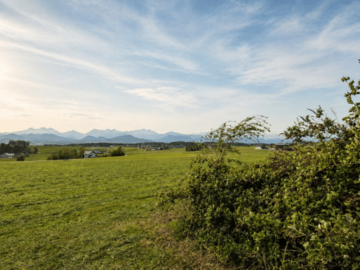 Grundstück zum Kauf 429.000 € 2.571 m² Grundstück Schleedorf 5205