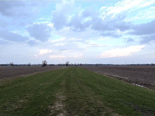 Grundstück zum Kauf 1.800.000 € 437.000 m² Grundstück frei ab sofort Neuengamme Bergedorf 21039
