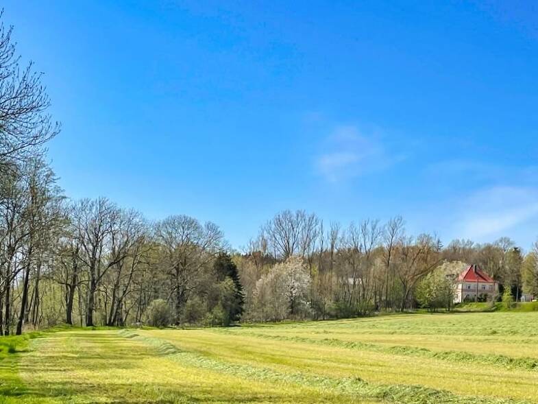 Mehrfamilienhaus zum Kauf 1.450.000 € 250 Zimmer 5.000 m² 86.528 m² Grundstück Goldbach Bischofswerda 01877