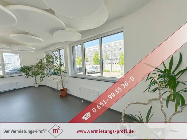 Bürogebäude zur Miete 3.600 € 11 Zimmer 300 m² Bürofläche Trier-West-Pallien Trier 54294