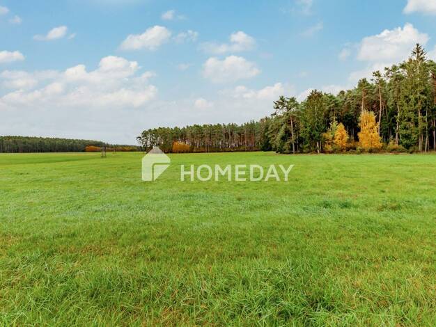 Bauernhaus zum Kauf 844.000 € 4 Zimmer 300 m² 87.978 m² Grundstück Ebersbach Abenberg 91183