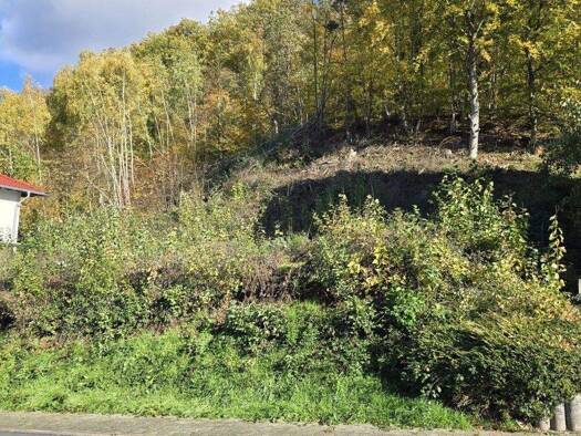 Grundstück zum Kauf 119.000 € 590 m² Grundstück Sandbach Breuberg 64747