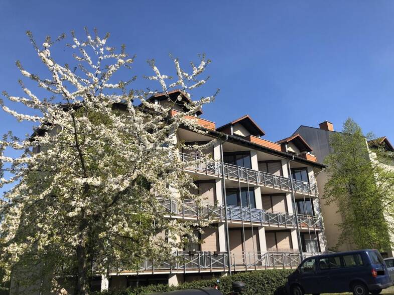 Wohnung zur Miete 350 € 1 Zimmer 25 m² EG frei ab 01.08.2025 Grenzborn 4 Süd Gießen 35392