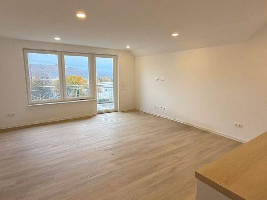 Wohnung zur Miete 970 € 3 Zimmer 71 m² frei ab sofort Neckarelz Mosbach 74821