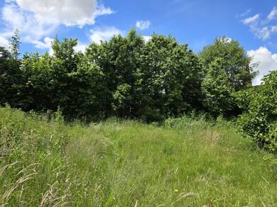 Grundstück zum Kauf 1.187.000 € 1.090 m² Grundstück Litschgi Straße 10 a Bad Krozingen Bad Krozingen 79189
