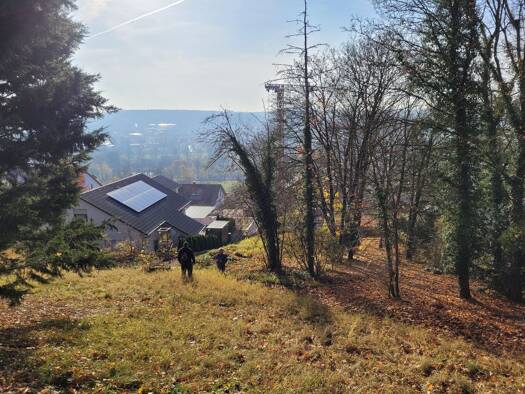 Grundstück zum Kauf provisionsfrei 650 m² Grundstück Ochsenfurt Ochsenfurt 97199