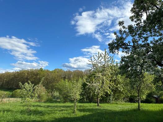 Grundstück zum Kauf provisionsfrei 880.000 € 1.008 m² Grundstück Cadolzburg 90556