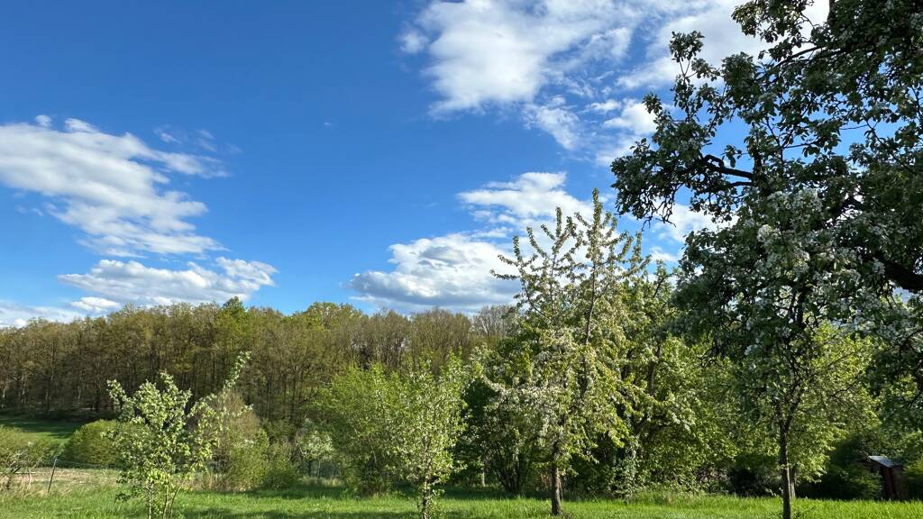 Grundstück zum Kauf provisionsfrei 880.000 € 1.008 m² Grundstück Cadolzburg 90556