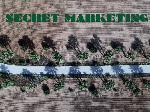 Landhaus zum Kauf 4.600.000 € 10 Zimmer 300 m² 1.000 m² Grundstück Santa Margalida 07450