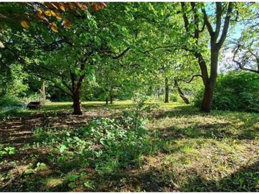 Grundstück zum Kauf provisionsfrei 430.000 € 1.281 m² Grundstück Falkensee 14612