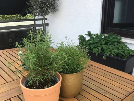 Wohnung zur Miete 950 € 2 Zimmer 94 m² Geschoss 1/2 frei ab sofort Sulzbach Sulzbach am Main 63834