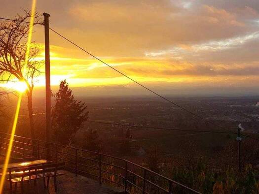 Haus zum Kauf 1.100.000 € 4 Zimmer 197 m² 4.883 m² Grundstück frei ab 01.03.2026 Zell-Weierbach Offenburg 77654