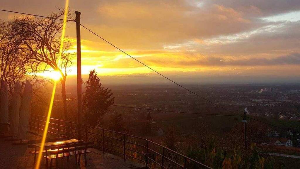 Haus zum Kauf 1.100.000 € 4 Zimmer 197 m² 4.883 m² Grundstück frei ab 01.03.2026 Zell-Weierbach Offenburg 77654