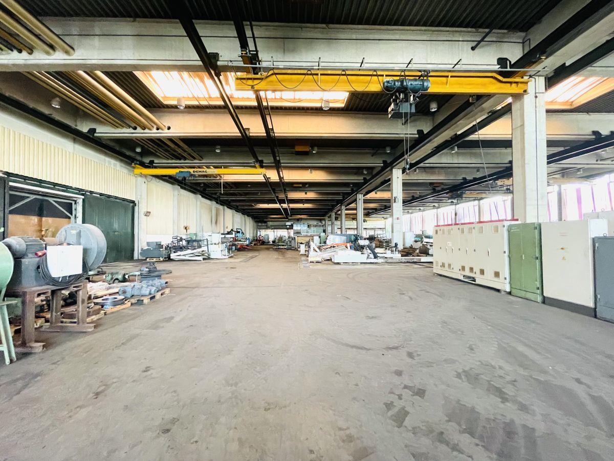 Lagerhalle zur Miete 4.000 m²<br/>Lagerfläche ab 4.000 m²<br/>Teilbarkeit Hervest Dorsten 46284