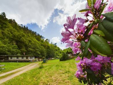 Immobilie zum Kauf provisionsfrei als Kapitalanlage geeignet 982.000 € 150 m² 31.000 m² Grundstück Hallgarten Schlangenbad 65388