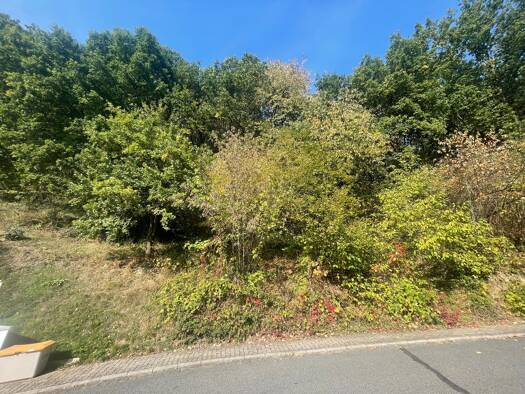 Grundstück zum Kauf 169.000 € 1.297 m² Grundstück Soden Sulzbach am Main 63834