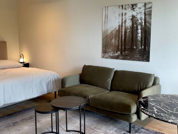 Studio zur Miete Wohnen auf Zeit 1.320 € 1 Zimmer 40 m² frei ab 01.07.2026 Schönefeld 12529