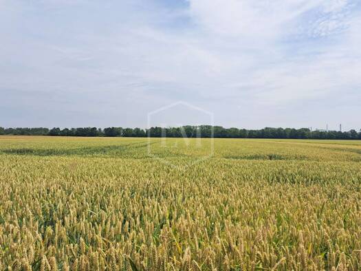 Landwirtschaftliche Fläche zum Kauf 365.000 € 23.500 m² Grundstück Berrenrath Hürth 50354