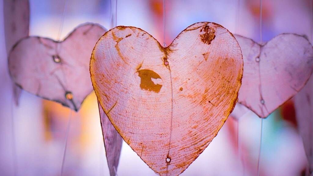 Doppelhaushälfte zum Kauf 549.842 € 5 Zimmer 128 m² 631 m² Grundstück Stadtmitte Herten 45699