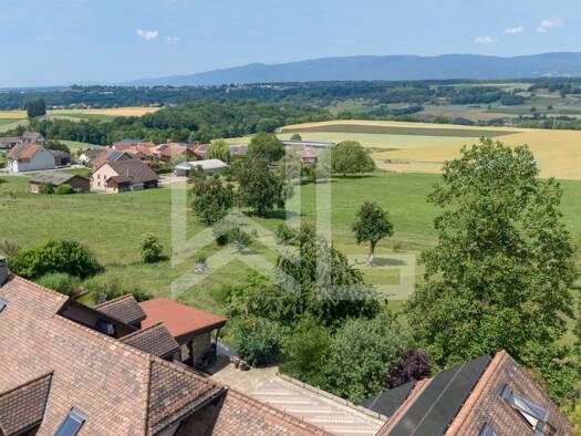 Einfamilienhaus zum Kauf 2.847.014 € 8 Zimmer 240 m² 5.560 m² Grundstück penthalaz Daillens 1306