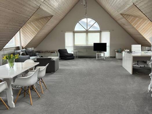 Loft zur Miete 980 € 3 Zimmer 120 m² Geschoss 1/2 frei ab sofort Ebinger Straße 32 Winterlingen 72474