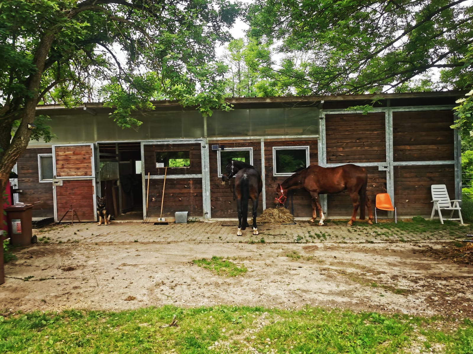 Reiterhof zum Kauf 1.558 m²<br/>Grundstück Neckartenzlingen 72654