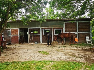 Reiterhof zum Kauf 1.558 m² Grundstück Neckartenzlingen 72654