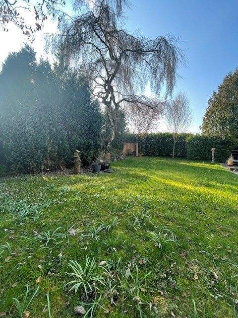 Immobilie in Billerbeck - Ihr Traumhaus zum Greifen nah für 1.978,00 €/m² Wohnfläche!  Zweifamilienwohnhaus mit Souterrainwohnung in Billerbeck - Bild 3