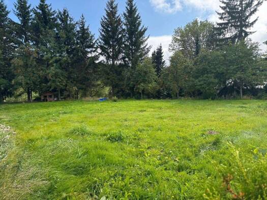 Grundstück zum Kauf 68.000 € 2.065 m² Grundstück Oberwiesenthal Oberwiesenthal 09484